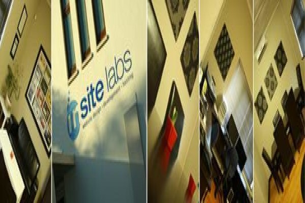 Insite Labs