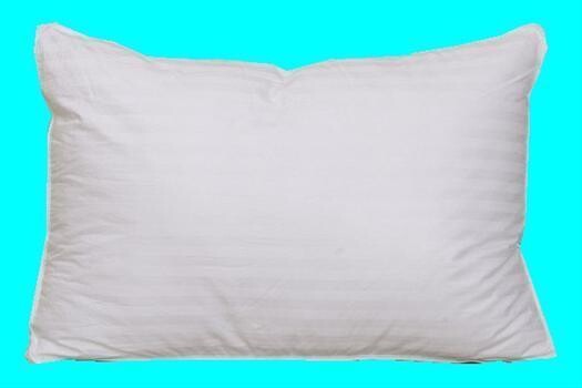 Pillows Hypoallergenic