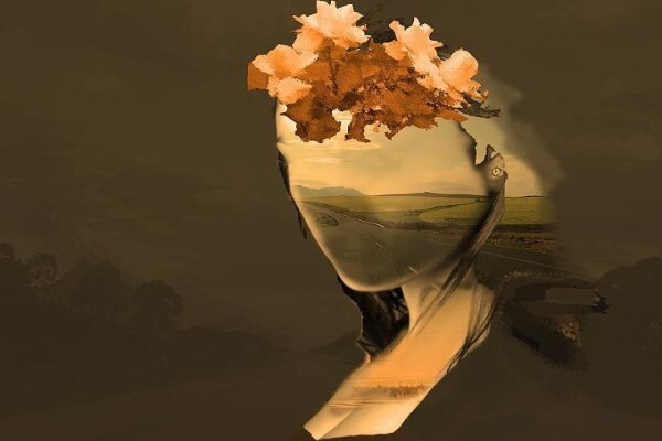 André Pillay Paintings And Digital Art