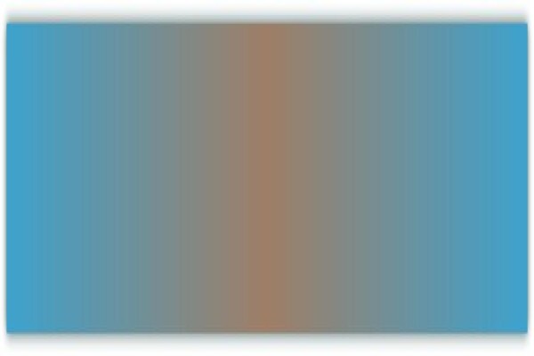 Blinds & Shutter Solutions