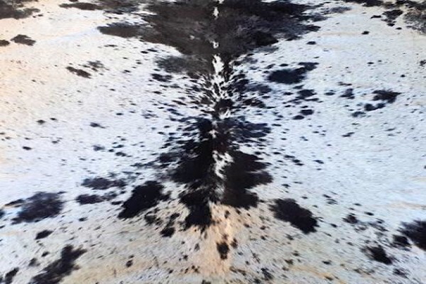 Nguni Home Decor
