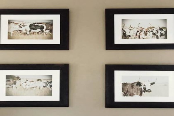 Nguni Home Decor