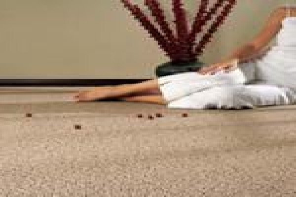 X-Quisite Floors