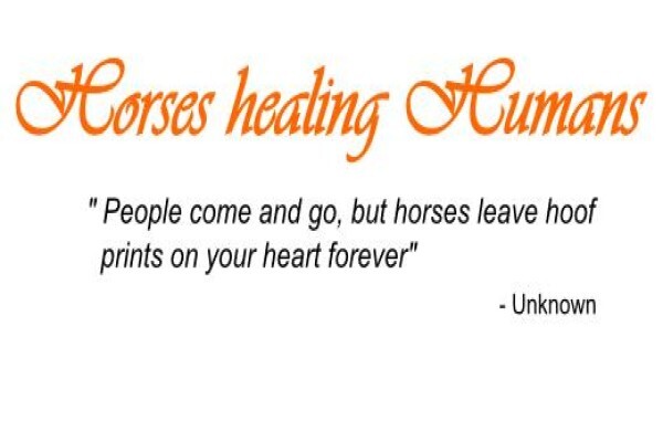 Chrysalis Equine Therapy