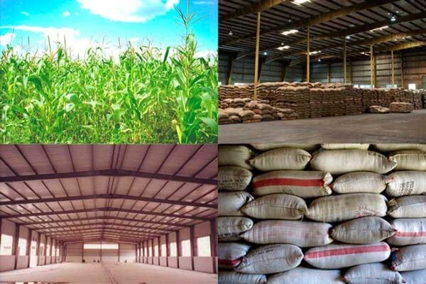 Ascon Africa