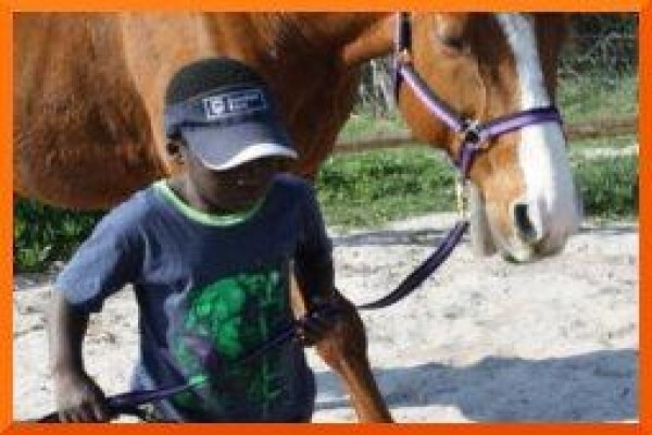Chrysalis Equine Therapy