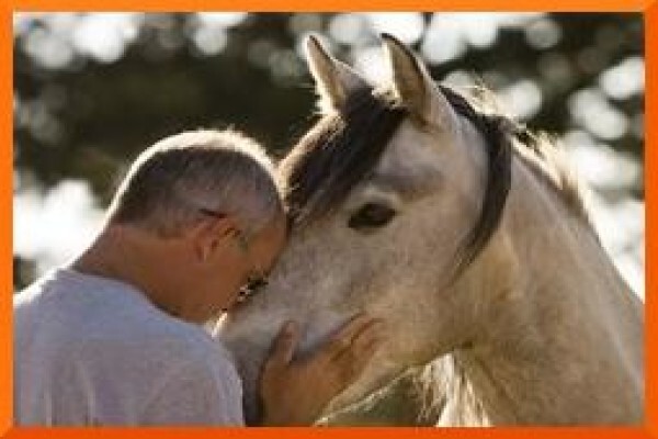 Chrysalis Equine Therapy