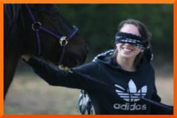 Chrysalis Equine Therapy