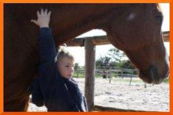 Chrysalis Equine Therapy