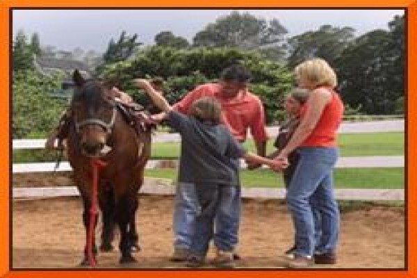 Chrysalis Equine Therapy