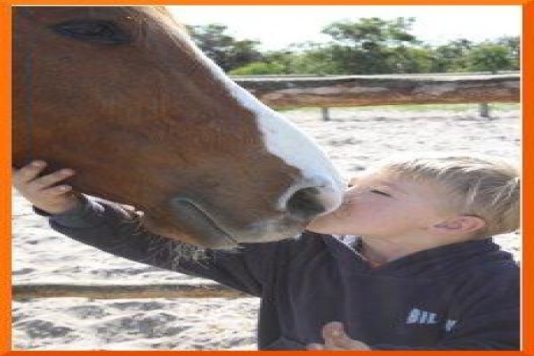 Chrysalis Equine Therapy