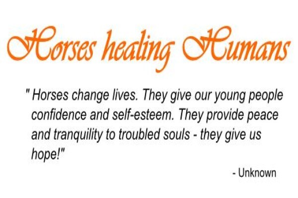 Chrysalis Equine Therapy
