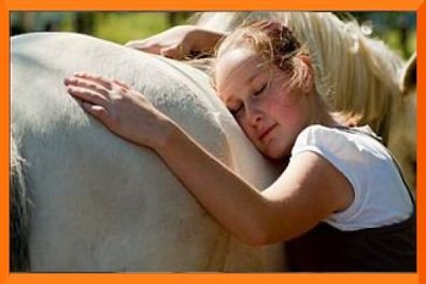 Chrysalis Equine Therapy