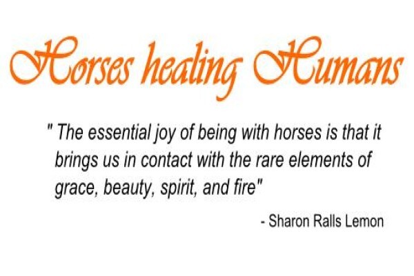 Chrysalis Equine Therapy