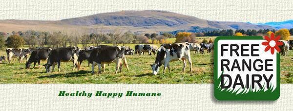 Free Range Dairy Cc