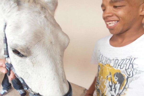 Ashalata Equine Therapy