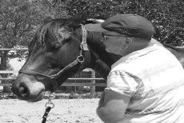 Equine Bowen South Africa