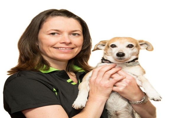 Holisticvet