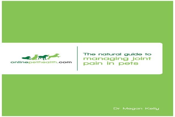 Holisticvet