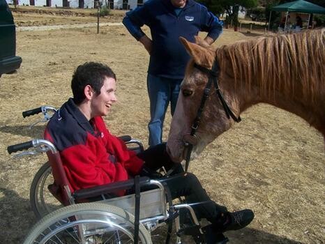 Horse Sense