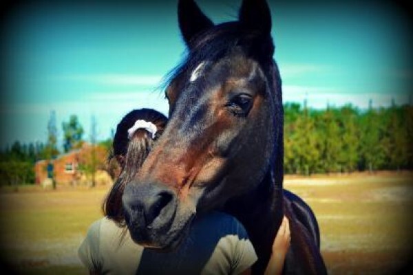 Ashalata Equine Therapy