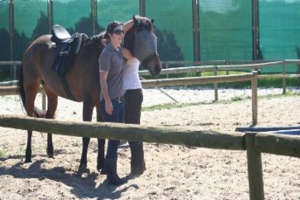 Ashalata Equine Therapy