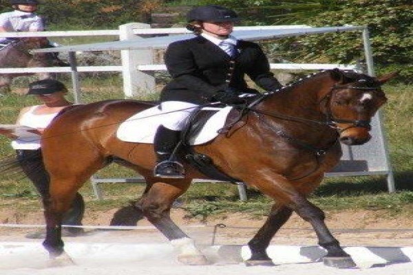 Ashalata Equine Therapy