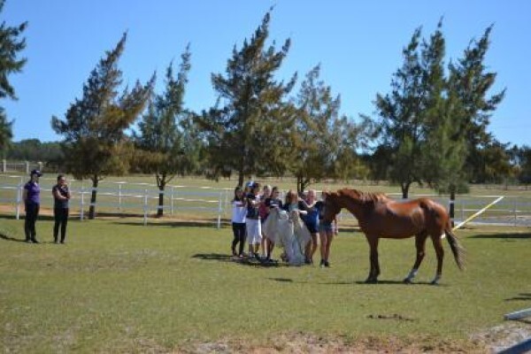 Ashalata Equine Therapy