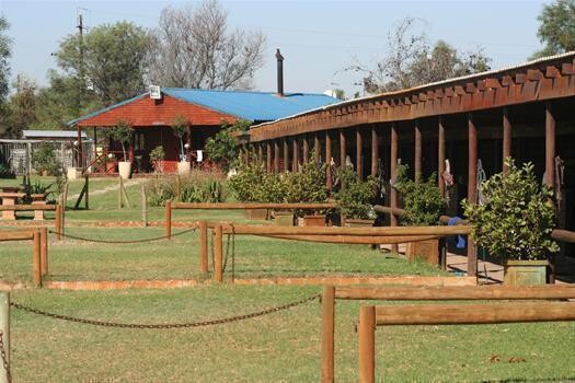 Ashalata Equine Therapy