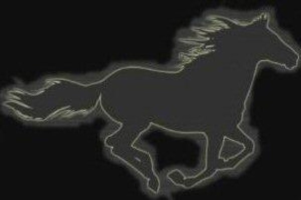 Equine Bowen South Africa