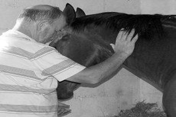 Equine Bowen Therapy S.A.