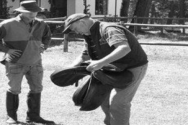 Equine Bowen Therapy S.A.