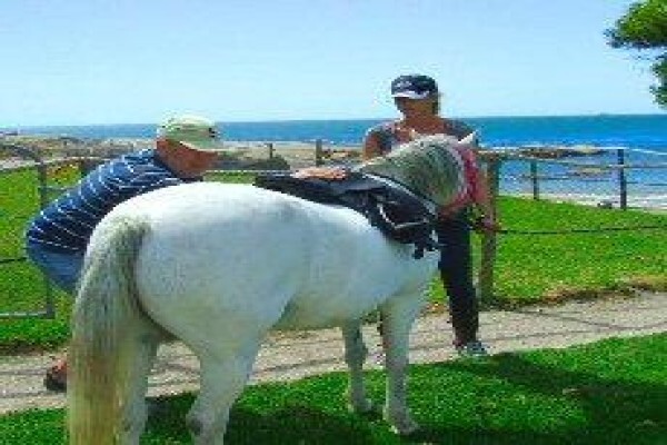 Equine Bowen Therapy S.A.