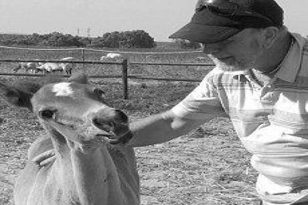 Equine Bowen Therapy S.A.