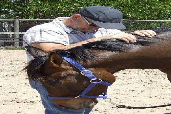 Equine Bowen Therapy S.A.