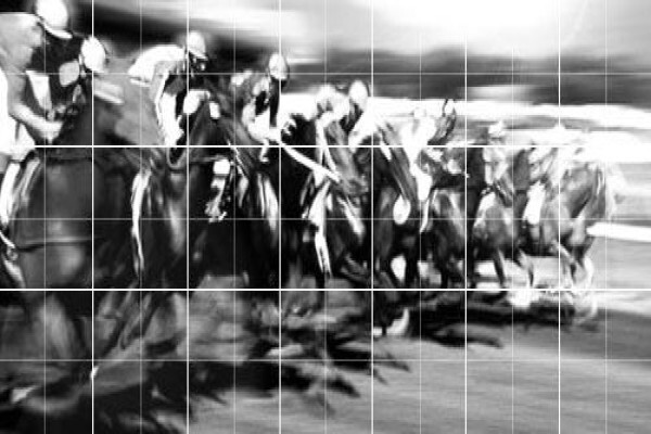 Equine