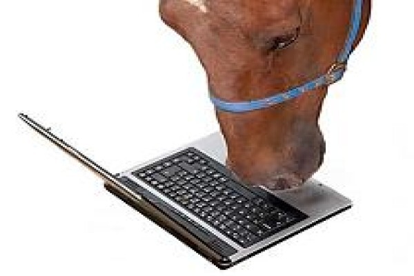 Hilltop Saddlery