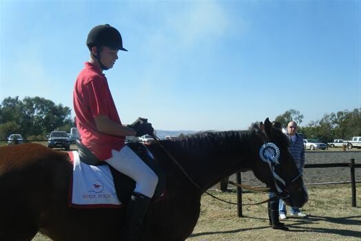 Horse Sense