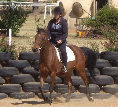 Mazz Vaulting And Riding Club