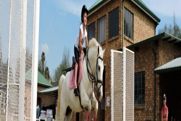 Sankt Georg Stables