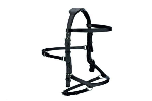 Tackshop.Co.Za