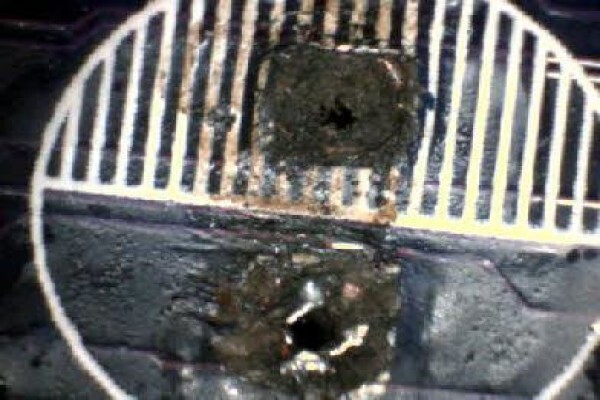 Arx Valdex
