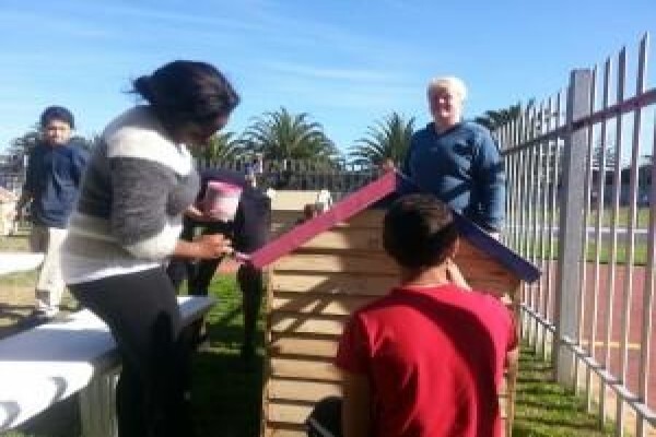Cape Town Studies & Tours