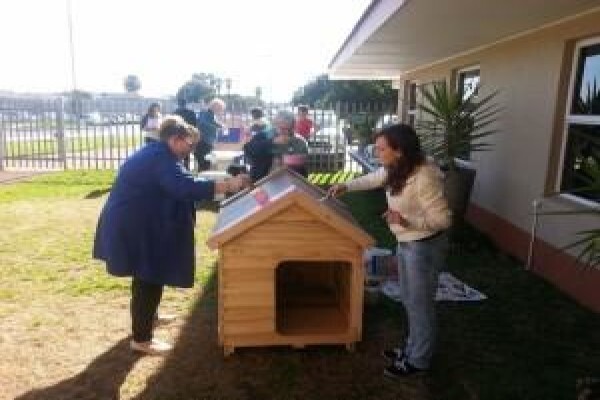 Cape Town Studies & Tours