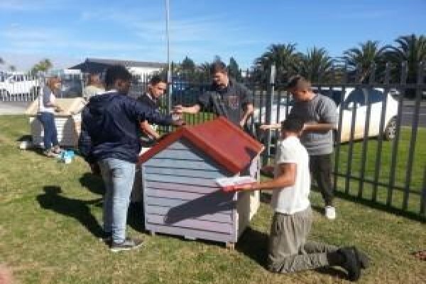 Cape Town Studies & Tours