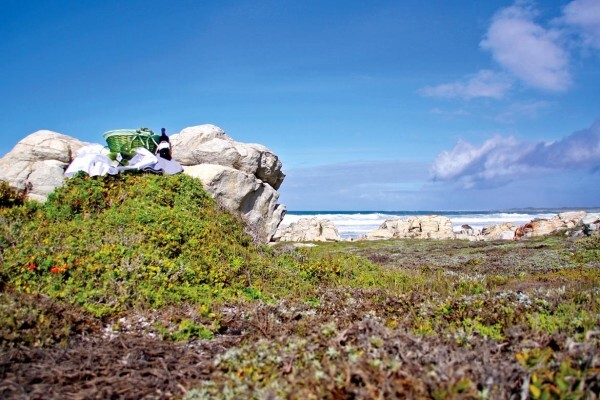 Nelson Mandela Bay Tourism