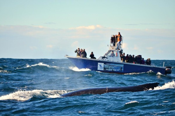 Nelson Mandela Bay Tourism