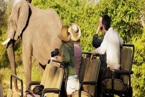Tourism Investment Corp Ltd