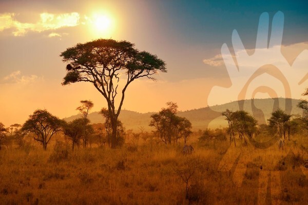 Tourism Investment Corp Ltd