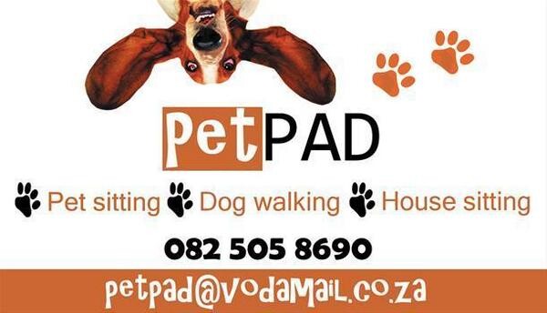 Pet Pad
